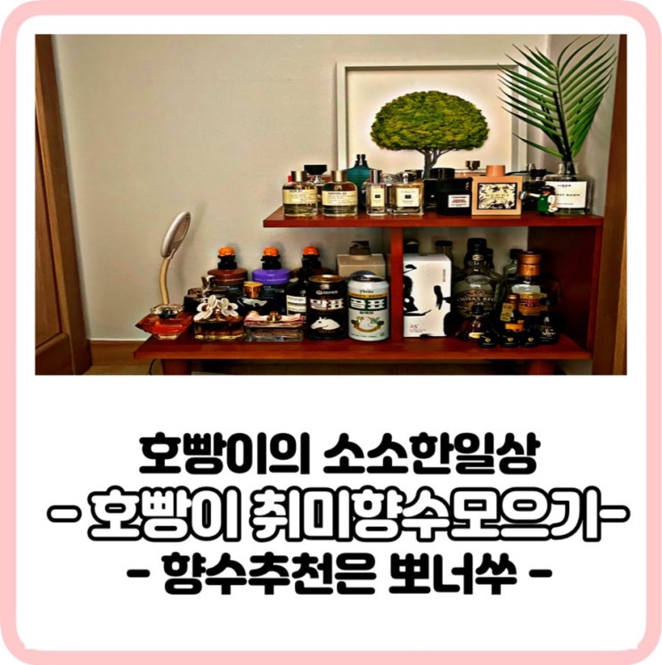 개성있고 톡톡튀는, 매력적인 향수추천