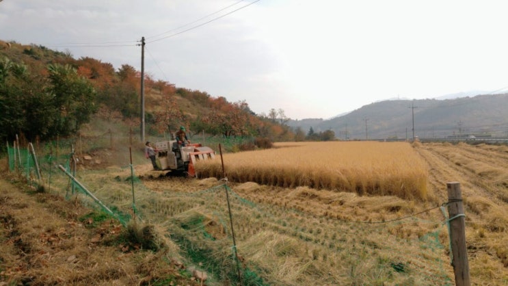  아버지의 회복일지를 시작하면서