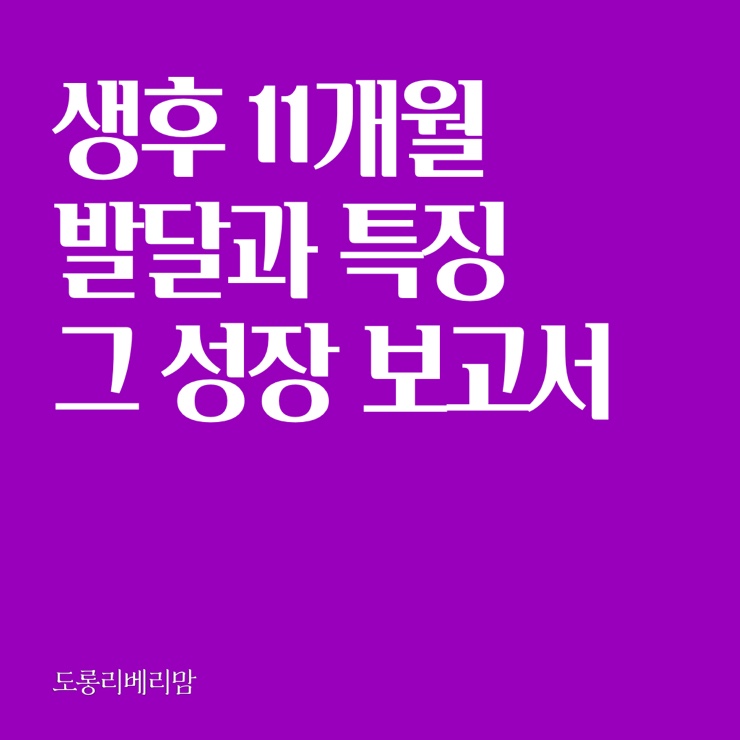  생후 11개월 아이의 성장과 발달