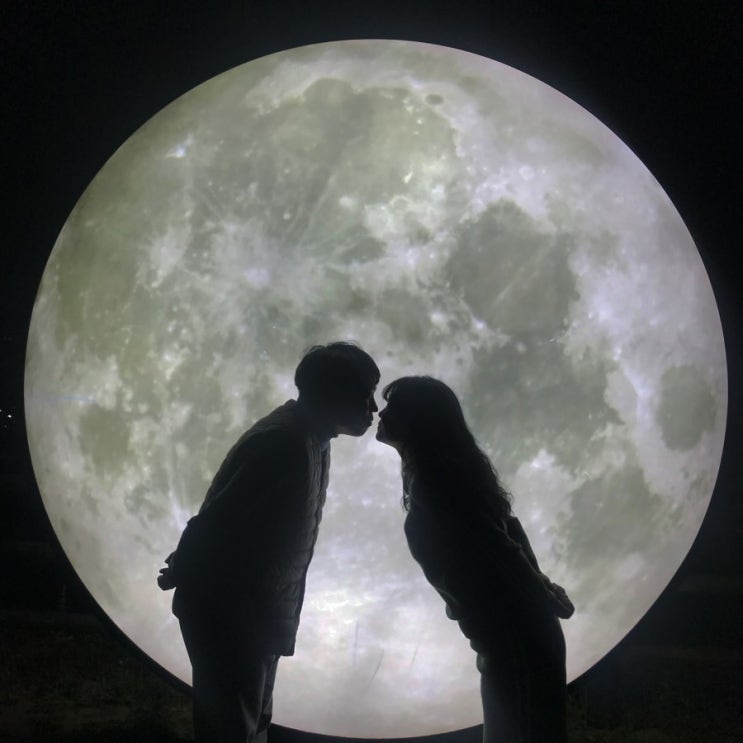  부산 야경명소 우암동 도시숲 인생샷 찍으러 오세요!