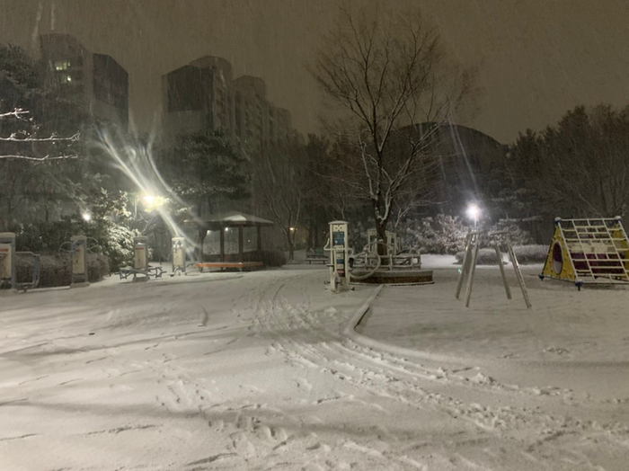  눈오는 날 2021.2.3