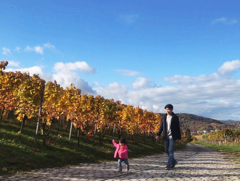 baksaya 홍혜진 찬양 유튜버 홍혜진, 사순절 기간 우리 함께해요! : 네이버 블로그