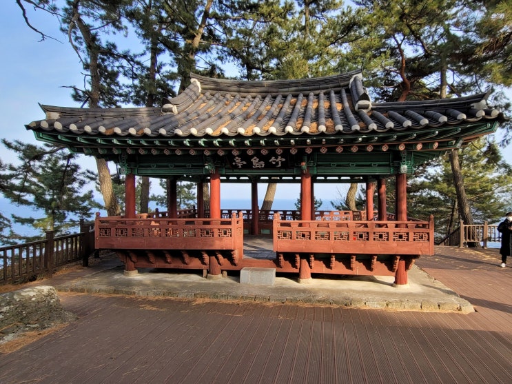 양양 인구해변 죽도정 전망대 죽도암 산책 및 죽도해변 서핑