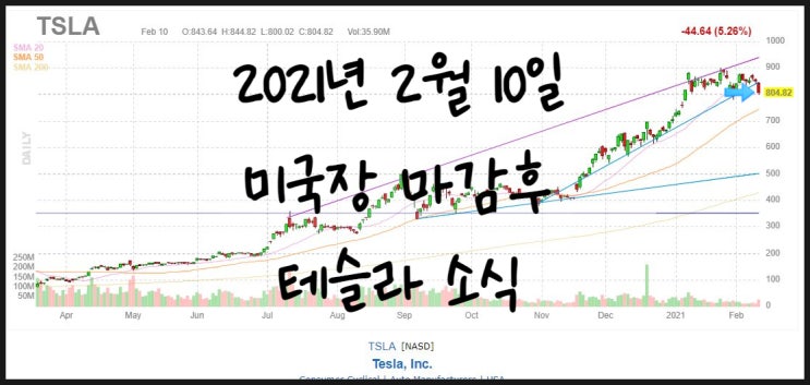 테슬라(Tesla): 2021년 2월 10일 미국장 마감후. 테슬라 소식.