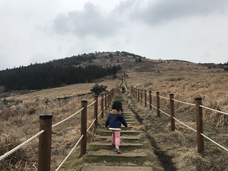  [제주오름여행] 제주동쪽오름 서귀포시 표선면 성읍리 - 힐링하기 좋은 백약이오름