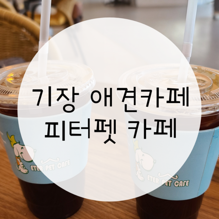 부산기장애견카페 피터펫 애견운동장도 있어요