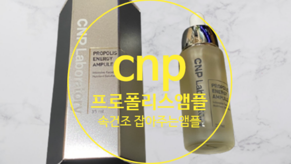  cnp 프로폴리스 앰플 속건조 특효