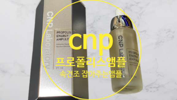 cnp 프로폴리스 앰플 속건조 특효