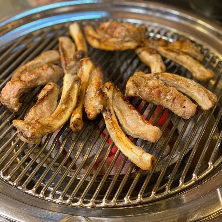  원시쪽갈비 [안양/인덕원 맛집]