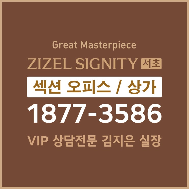  서초동 업무용 오피스텔 or 섹션 오피스? 결론은 서초 지젤 풀옵션 섹션오피스