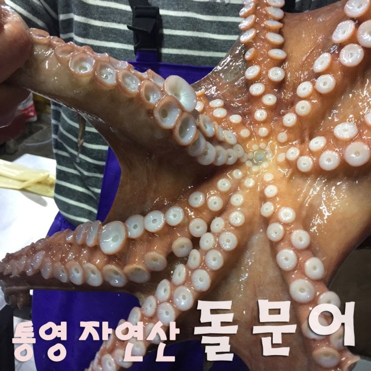 인지도 있는 한창수산 통영 자연산 돌문어1kg/평일 1시이전 주문건 당일발송, 1kg(2~4미), 1box, 1kg ··· 인지도 있는 한창수산 통영 자연산 돌문어1kg/평일 1시이전 주문건 당일발송, 1kg(2~4미), 1box, 1kg ···