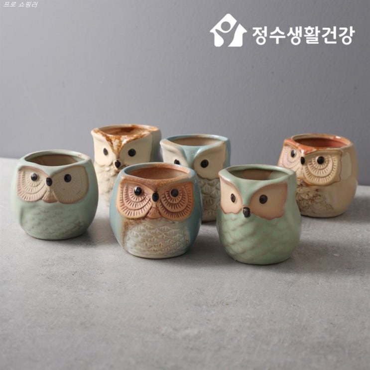  [할인정보] 정수생활건강 부엉이 화분 6P 세트 소형 다육 식물 원예 재물 재복 12,900 원 