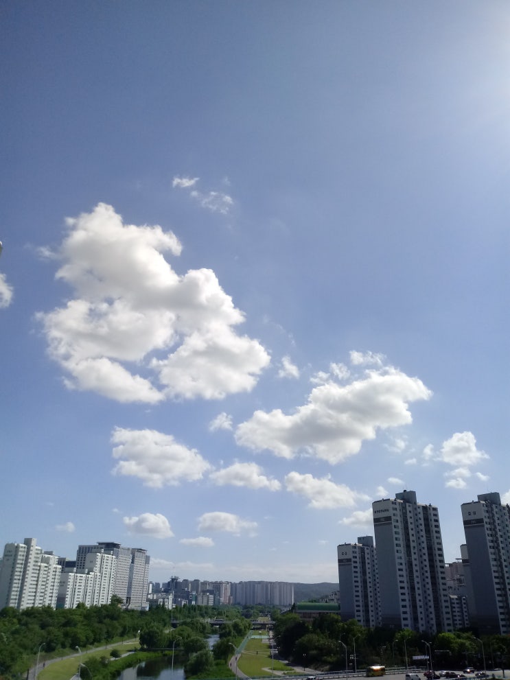 100세까지 건강하게 살겠다고 다짐합니다!