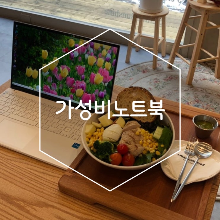 가성비노트북 삼성 갤럭시북 이온2 NT950XDZ-A38AW