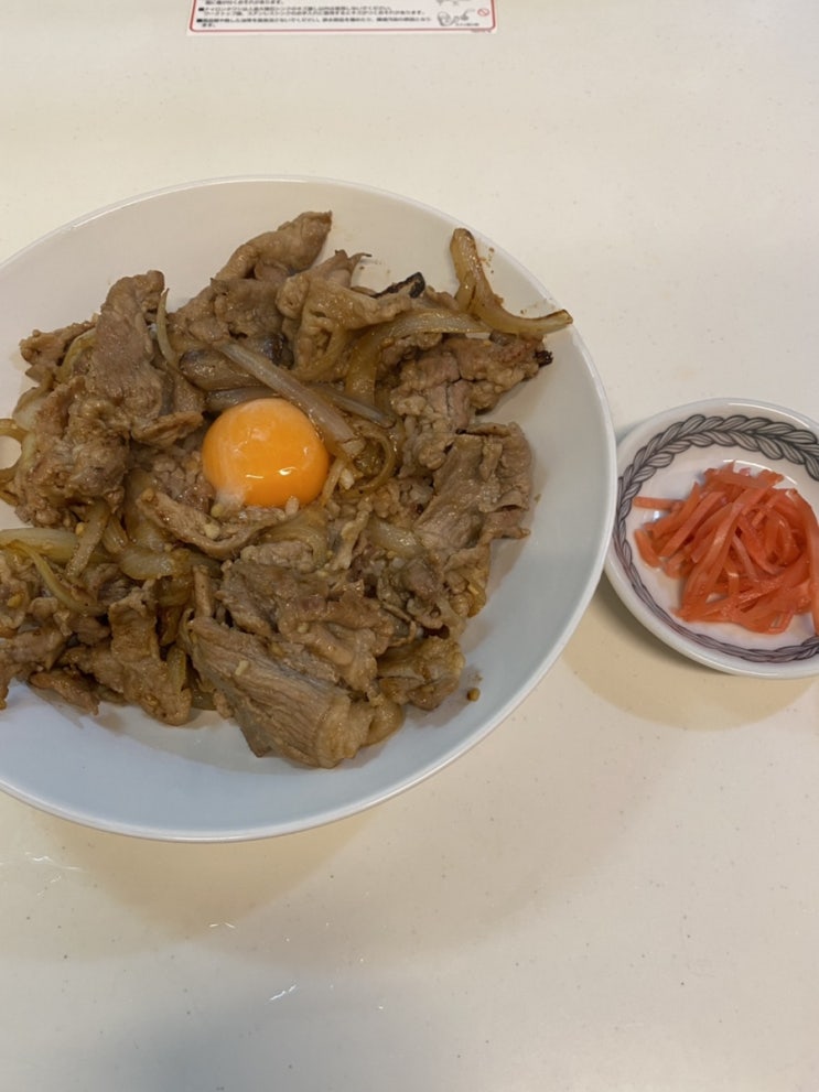  [일본요리] 일본식 돼지고기 덮밥 부타동