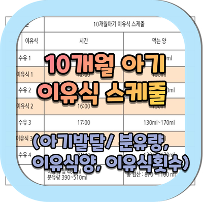  10개월 이유식 스케줄 (10개월아기발달, 분유량 ,이유식 양)