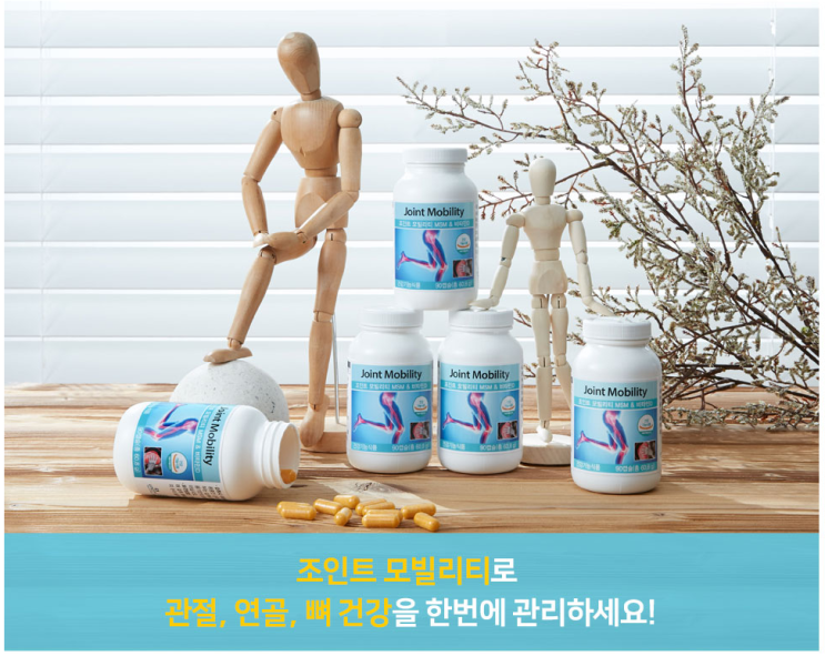  조인트 모빌리티 MSM&비타민 D | Joint Mobility | 관절/연골 영양제 | 뼈건강