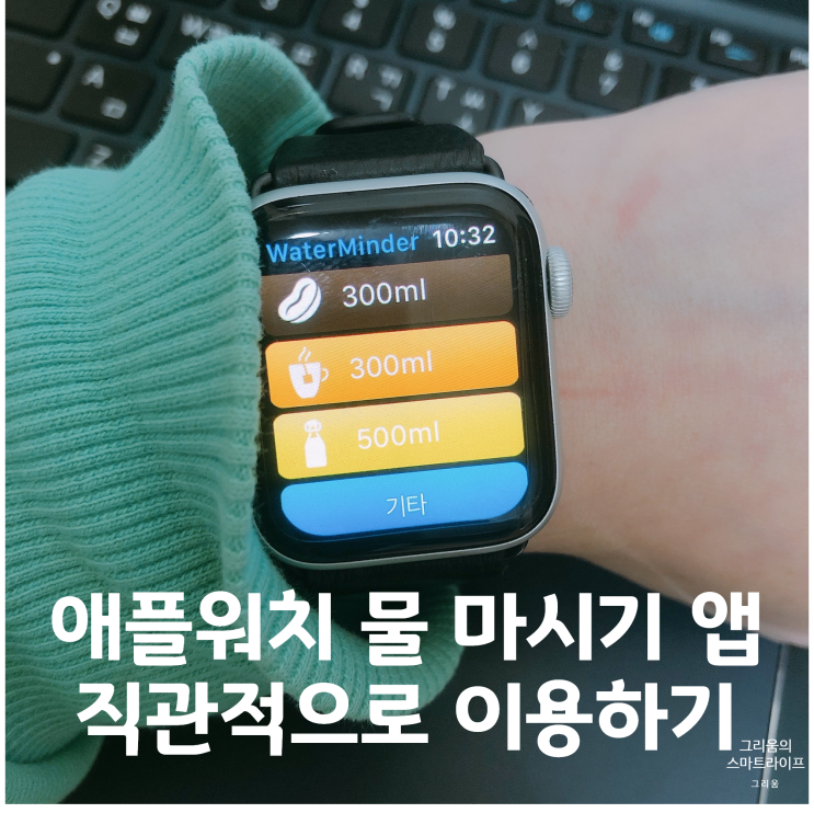  애플워치 물 마시기 앱 Waterminder , 직관적으로 사용하자