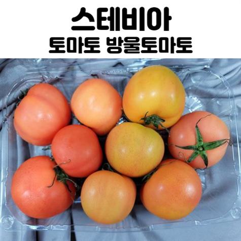  [할인정보] 국내산 스테비아 토마토 토망고 방울토마토 15,000 원︎ 