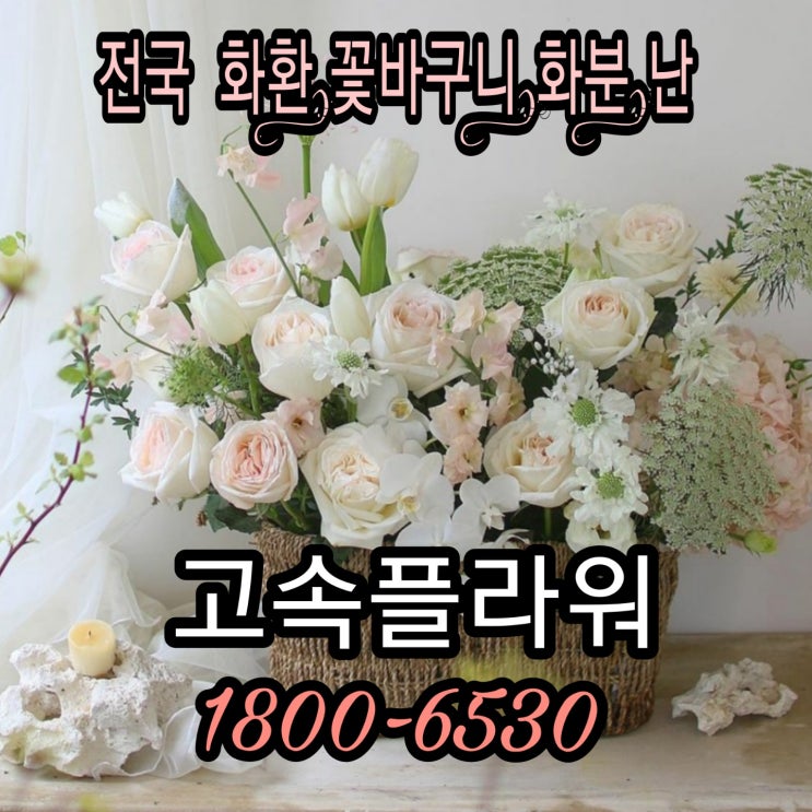 광주화환  스카이장례식장 꽃배달업체 근조화환주문방법  화환 착한가격 화환 54000원 (1800-6530)