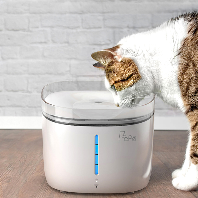 잘나가는 페페 강아지 고양이 살균정수기 2L, CW-100, 혼합 색상(로켓배송) 좋아요 잘나가는 페페 강아지 고양이 살균정수기 2L, CW-100, 혼합 색상(로켓배송) 좋아요