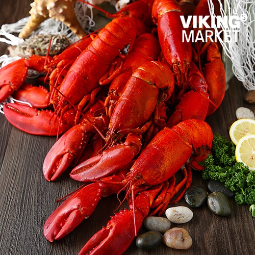 잘팔리는 이미지 국물용 보리새우, 100g, 1개(로켓배송) 추천해요 잘팔리는 이미지 국물용 보리새우, 100g, 1개(로켓배송) 추천해요