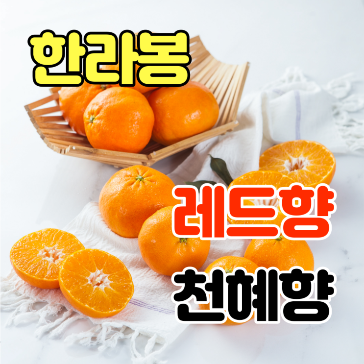선호도 높은 푸릇푸릇 제주 한라봉 황금향 천혜향 레드향 노지 감 귤 한라봉 3kg, 5. 제주감귤 5kg L사이즈 ··· 선호도 높은 푸릇푸릇 제주 한라봉 황금향 천혜향 레드향 노지 감 귤 한라봉 3kg, 5. 제주감귤 5kg L사이즈 ···