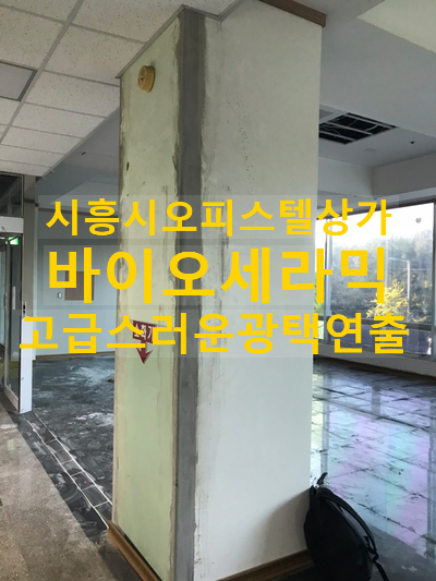  시흥시 오피스텔상가 리모델링 기능성벽체마감 페인트로 고급스러운 광택연출 탄성월드 탄성코트