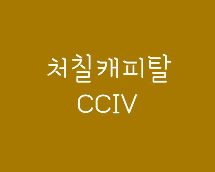 처칠캐피탈 cciv 주가 루시드모터스와 합병가능성 처칠캐피탈 cciv 주가 루시드모터스와 합병가능성