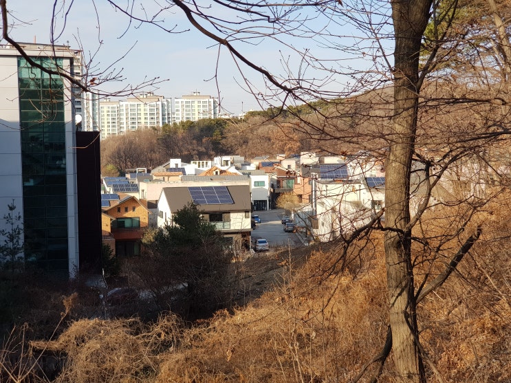  [동백 순환로] 해놀공원 산책기