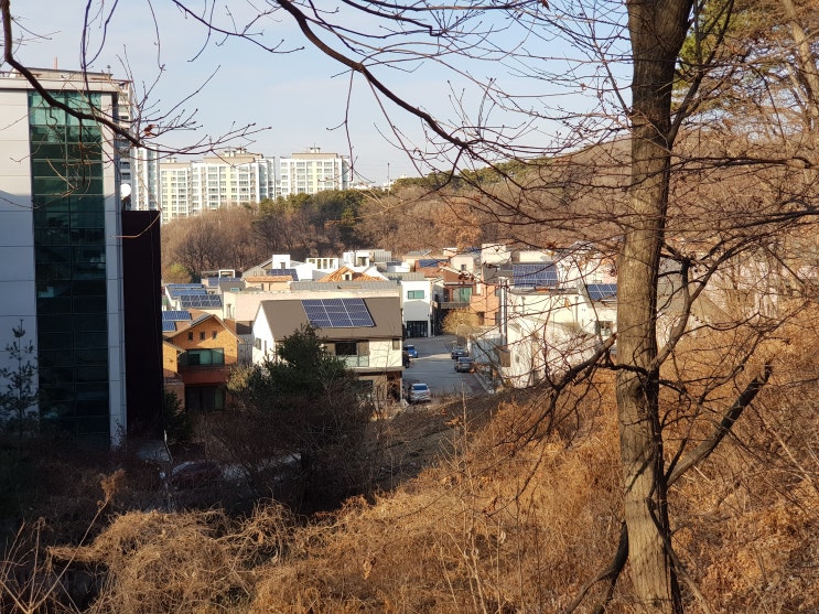 [동백 순환로] 해놀공원 산책기