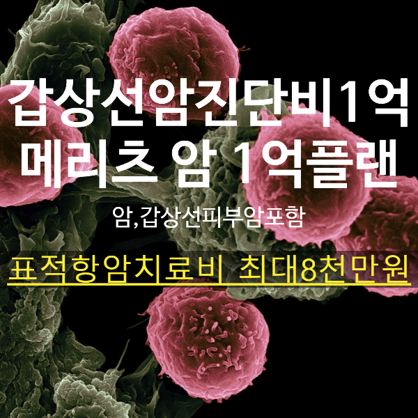  갑상선암진단비 1억준비하세요 메리츠암1억플랜-한시판매  (모든암, 갑상선,피부암포함)