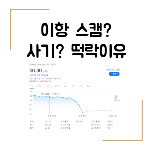  해외주식 Ehang 이항 스캠?사기? 주가 폭락하는 이유