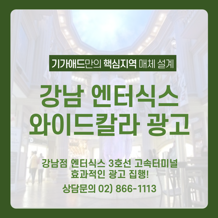  [대형쇼핑몰광고]강남 고속버스터미널역 엔터식스! 지하상가 최대규모! 쇼핑객과 지하철 이용객까지 동시에 공략하는 방법!