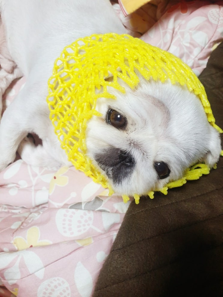 설 연휴 잘 보내셨나요? 설 연휴 잘 보내셨나요?