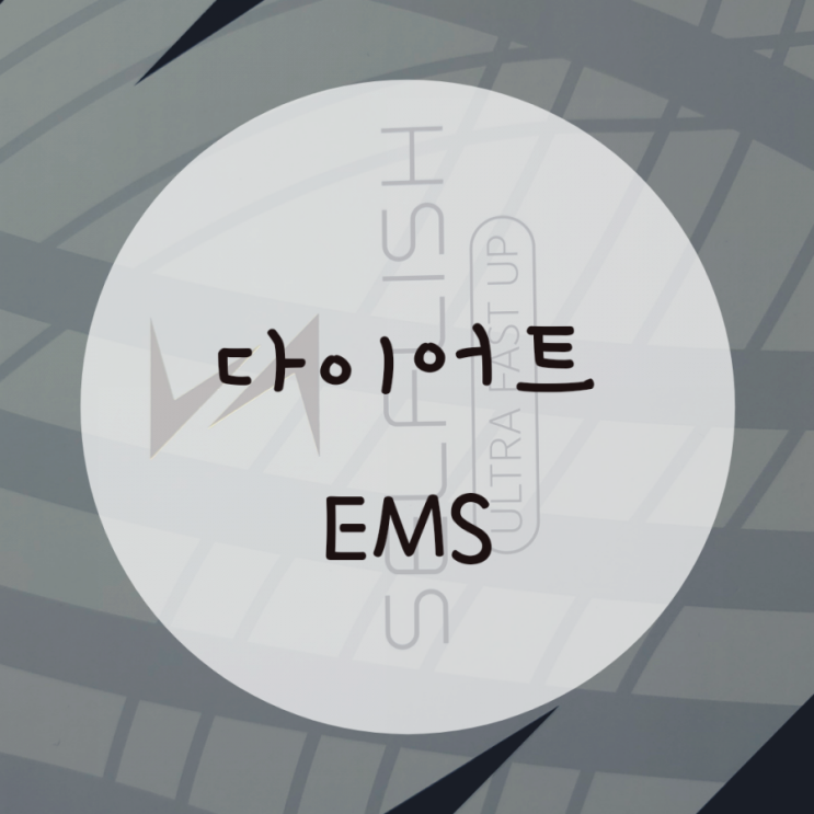 ems 저주파 운동기구 셀프리쉬 하루15분 스쿼트280개 효과 ems 저주파 운동기구 셀프리쉬 하루15분 스쿼트280개 효과