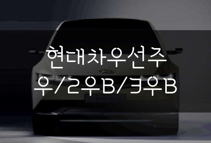 현대차우선주 우/2우B/3우B 차이 및 배당금 규모 현대차우선주 우/2우B/3우B 차이 및 배당금 규모