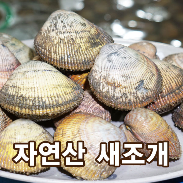 핵가성비 좋은 자연산 새조개 2.5kg손질 (500g 내외) 1팩, 실중량 (450-500g내외) 좋아요 핵가성비 좋은 자연산 새조개 2.5kg손질 (500g 내외) 1팩, 실중량 (450-500g내외) 좋아요
