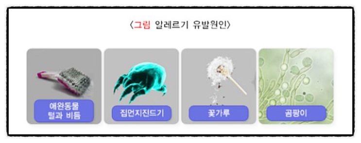  알레르기, 피부가렴움증, 주사 화학 염색약 동물 털 우유