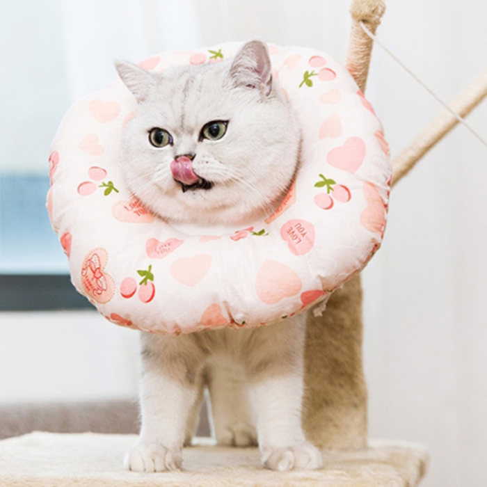 리뷰가 좋은 멍지 강아지 고양이 넥카라 달콤한 딸기 사랑 S, 57g, 1개(로켓배송) 좋아요 리뷰가 좋은 멍지 강아지 고양이 넥카라 달콤한 딸기 사랑 S, 57g, 1개(로켓배송) 좋아요