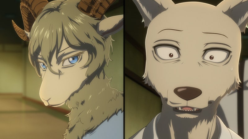 애니/선행컷]BEASTARS(비스타즈) 2기 7화 선행컷 및 개요 : 네이버 블로그