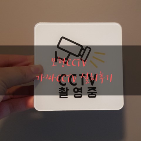  CCTV모형 가짜CCTV설치했어요