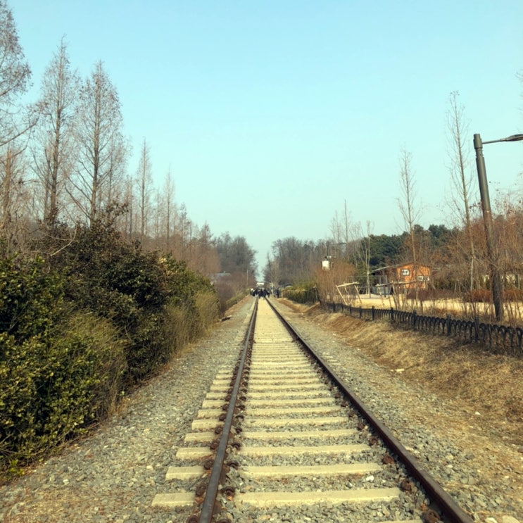  서울 갈만한곳 푸른수목원 항동철길 산책 추천