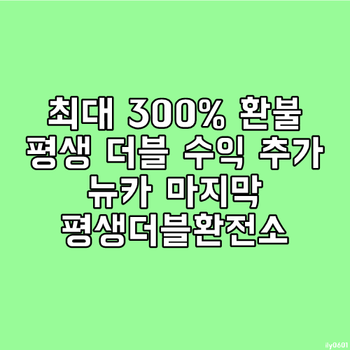 재택알바 뉴카 마지막 평생더블환전소