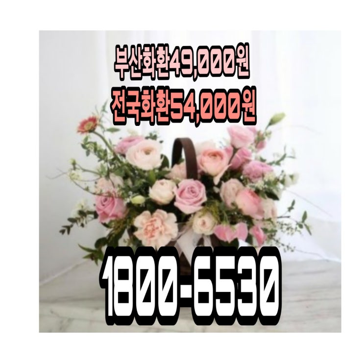  전북화환 실로암사랑병원장례식장 근조화환 조화 장례화환 정품으로 신속하게 배송 54000원화환