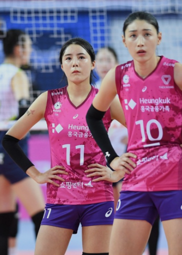 이다영 김연경 불화 논란 요약 이다영 김연경 불화 논란 요약