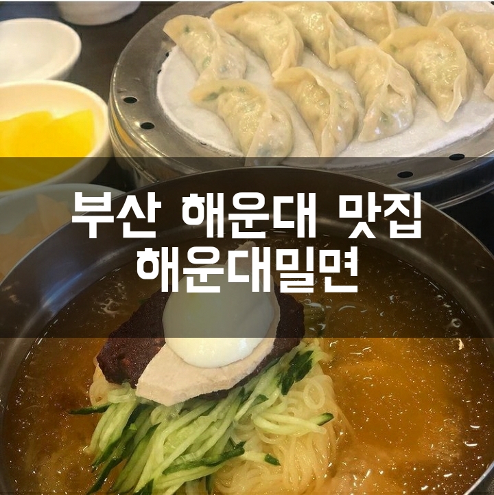 [부산 해운대 맛집] 해운대밀면/인생밀면을 만나다!