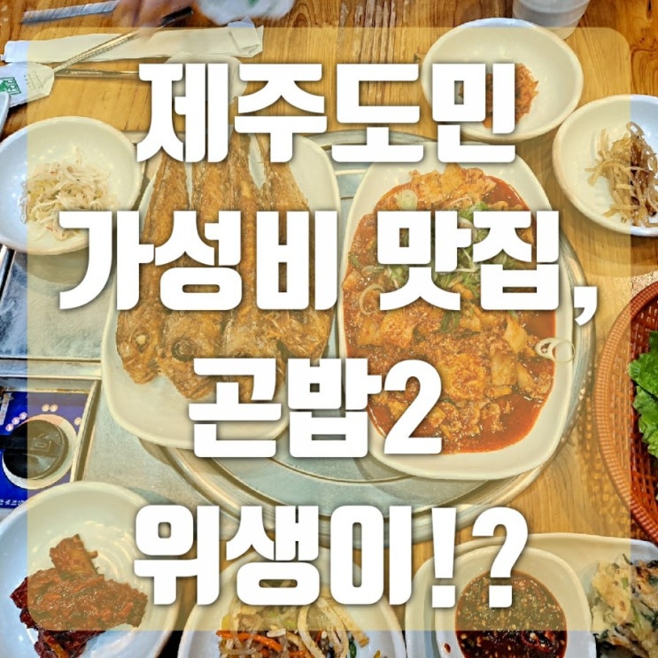  제주공항 근처 제주도 동문시장 맛집 곤밥2 아쉬운 점