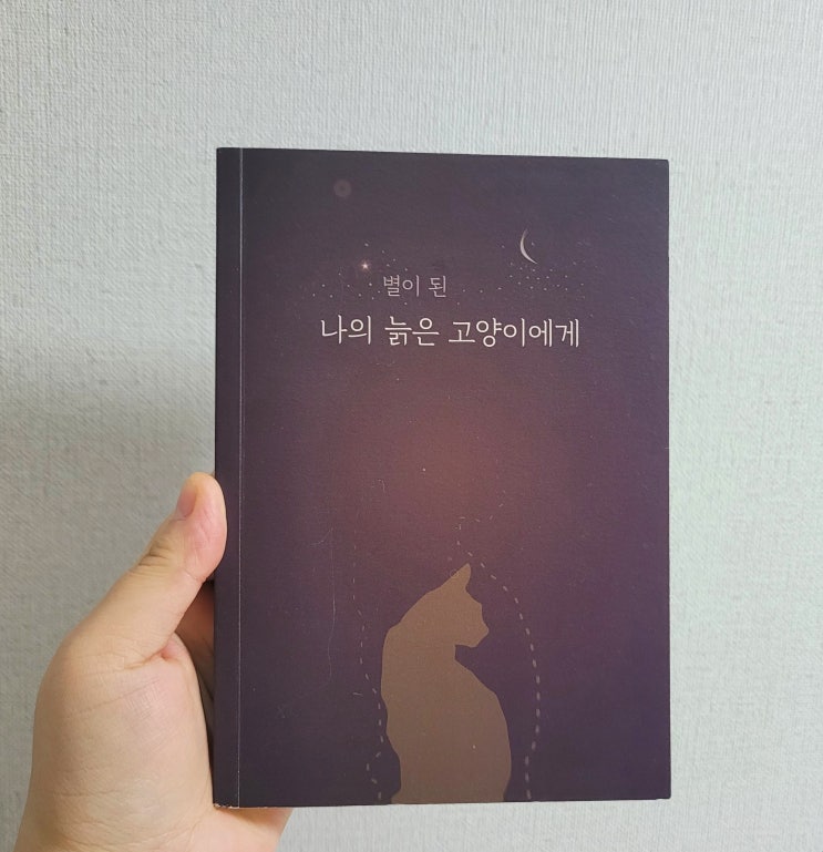  [책 추천] 별이 된 나의 늙은 고양이에게 : 고양이 키우시는 분들 추천