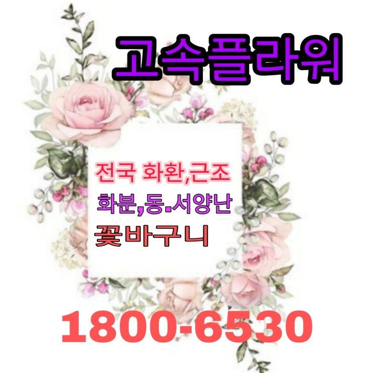  대전 성심장례식장 근조화환 상가집 꽃바구니 영정바구니 카톡주문 간편하게 전국꽃배달 고속배송 화환